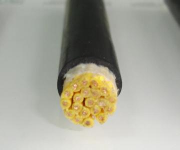 ������|